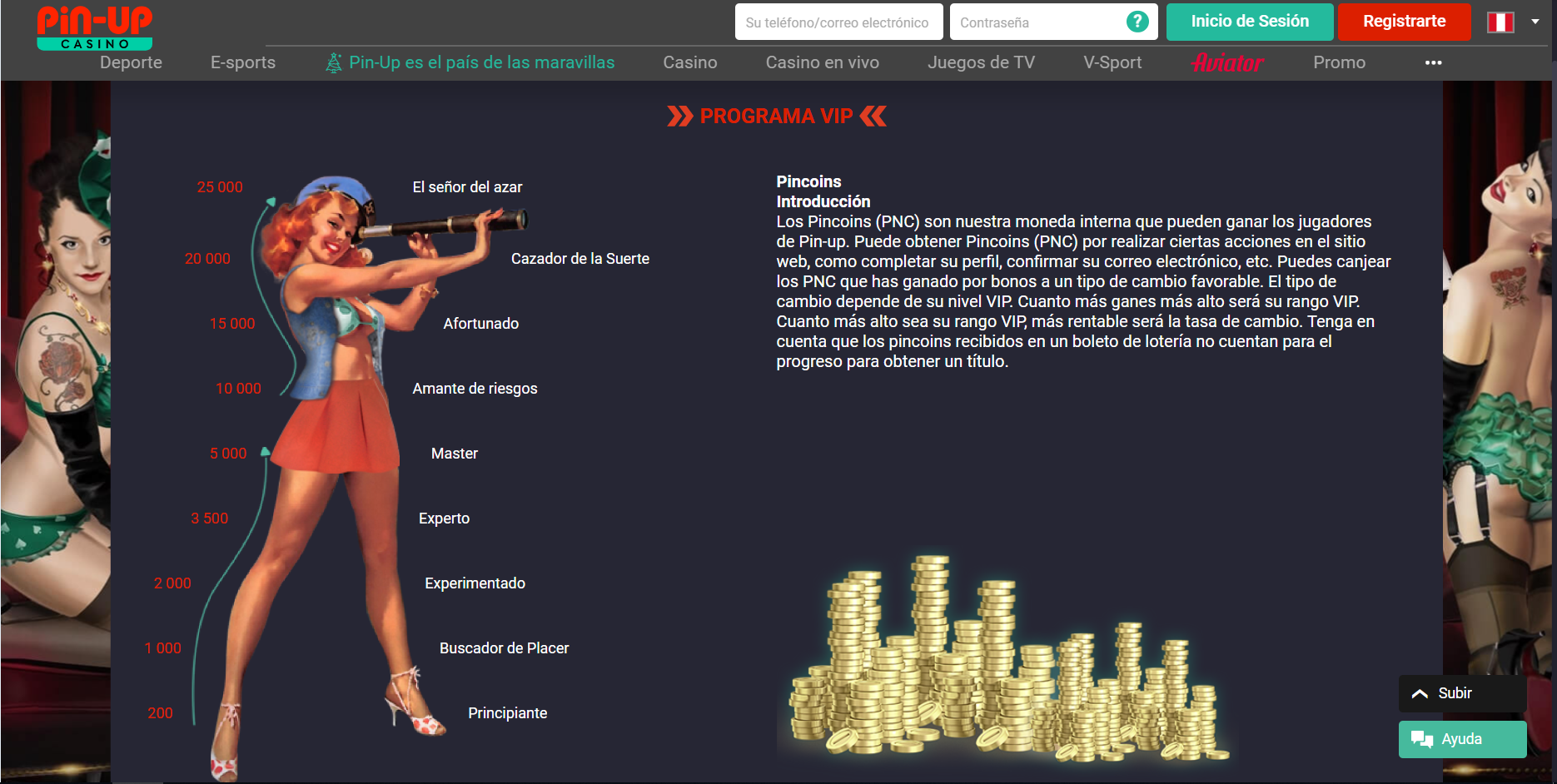 pincoins (VIP)